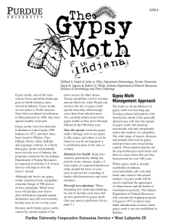 Gypsy Moth Management Approach