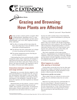 Grazing and Browsing: How Plants are Affected