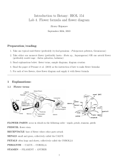 Introduction to Botany: BIOL 154 Lab 4. Flower formula and flower