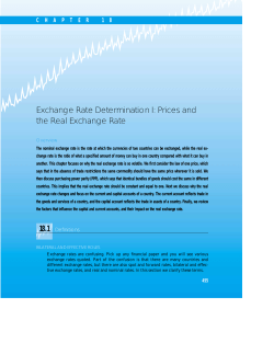 Exchange Rate Determination I: Prices and the Real Exchange Rate