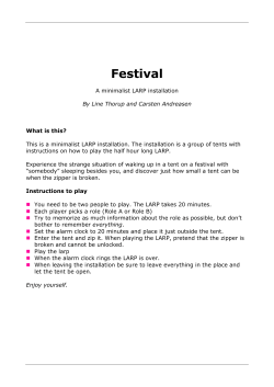 Festival - A LARP installation