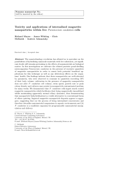 Toxicity and applications of internalised magnetite nanoparticles