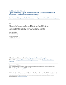 Equivalent Habitat for Grassland Birds - Open PRAIRIE