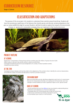 Classification and Adaptations Resource