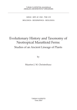 Evolutionary History and Taxonomy of Neotropical Mara  ioid