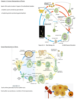 Sporic life cycles involve 2 types of multicellular bodies: