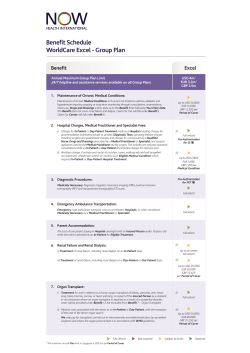 Benefit Schedule WorldCare Excel - Group Plan