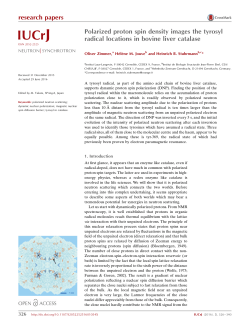 Polarized proton spin density images the tyrosyl radical locations in