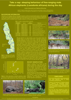 Take a nap: sleeping behaviour of free