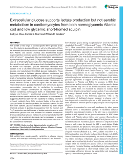 Extracellular glucose supports lactate production but not aerobic