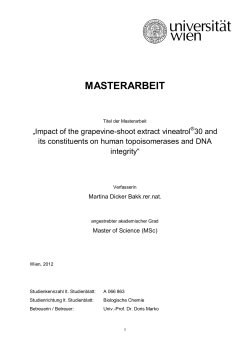 masterarbeit - E-Theses