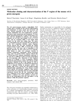Molecular cloning and characterization of the 5` region of