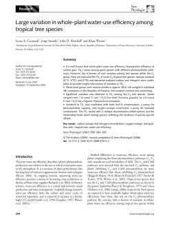 Large variation in whole-plant water