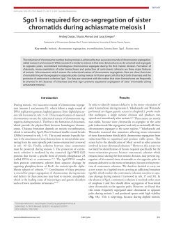 Sgo1 is required for co-segregation of sister chromatids during