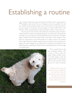 Establishing a routine