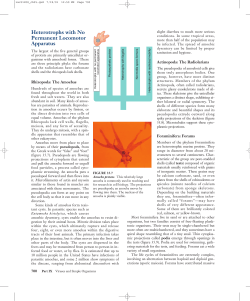 Heterotrophs with No Permanent Locomotor Apparatus