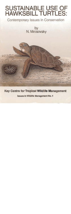 sustainable use of hawksbill turtles