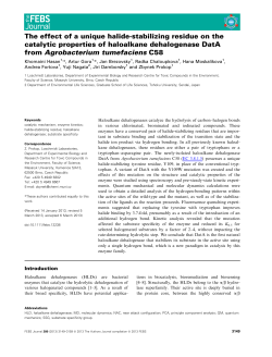 The effect of a unique halide‐stabilizing residue on the catalytic