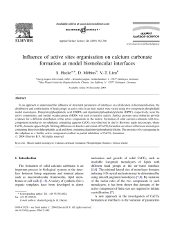 Influence of active sites organisation on calcium carbonate formation