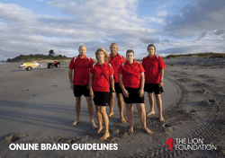 Brand Guidelines - The Lion Foundation