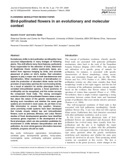 Bird-pollinated flowers in an evolutionary and