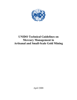 UNIDO Guidelines on Mercury Management April08