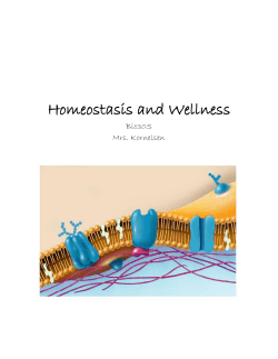 Homeostasis and Wellness - Mrs. Kornelsen`s Classroom