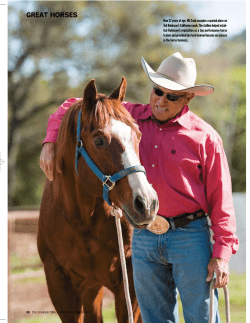 great horses - Ted Robinson