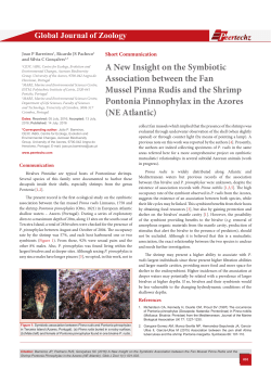 A New Insight on the Symbiotic Association between the
