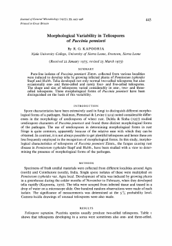 Morphological Variability in Teliospores of Puccinia