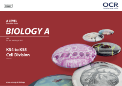 OCR A Level Biology Transition Guide (Cell Division)