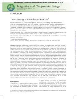 Thermal Biology of Sea Snakes and Sea Kraits