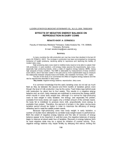 effects of negative energy balance on reproduction in dairy cows