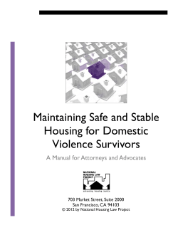 Maintaining Safe and Stable Housing for Domestic Violence Survivors