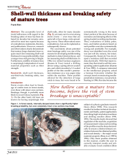 Shell-wall thickness and breaking safety of mature trees