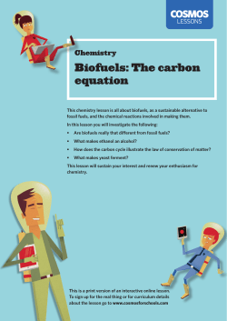 Biofuels: The carbon equation