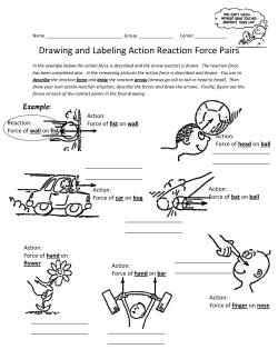 Drawing and Labeling Action Reaction Force Pairs