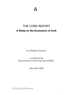 The Cork Report