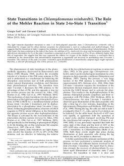 State Transitions in Chlamydomonas reinhardtii