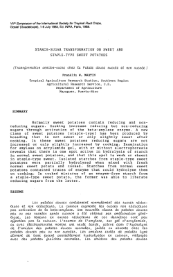 starch-sugar transformation on sweet and staple