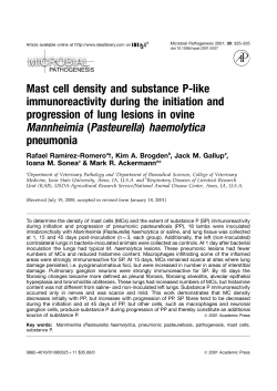 Mast cell density and substance P-like immunoreactivity during the
