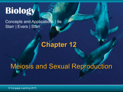 Chapter 12 Meiosis and Sexual Reproduction