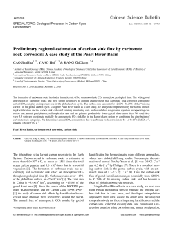Preliminary regional estimation of carbon sink flux by
