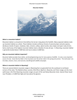 Mountain habitat is a broad term that defines the terrain rising above