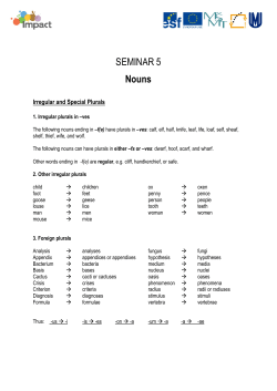SEMINAR 5 Nouns