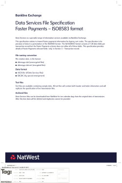 Data Services File Specification Faster Payments