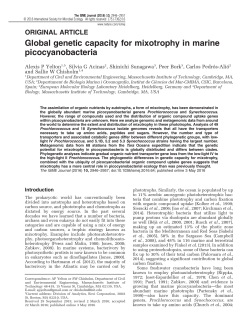 Global genetic capacity for mixotrophy in marine