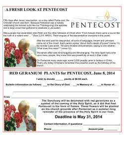 A FRESH LOOK AT PENTECOST RED GERANIUM PLANTS for