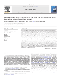 Influence of sediment transport dynamics and ocean floor
