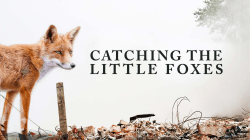 Catching the Little Foxes